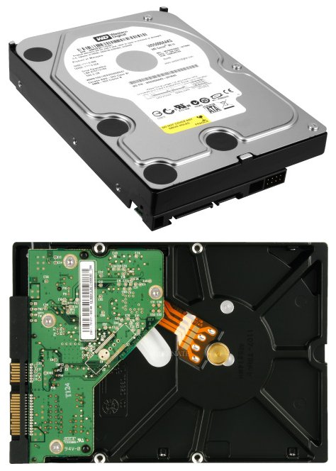 Festplatte: Western Digital WD5000AAKS 500GB